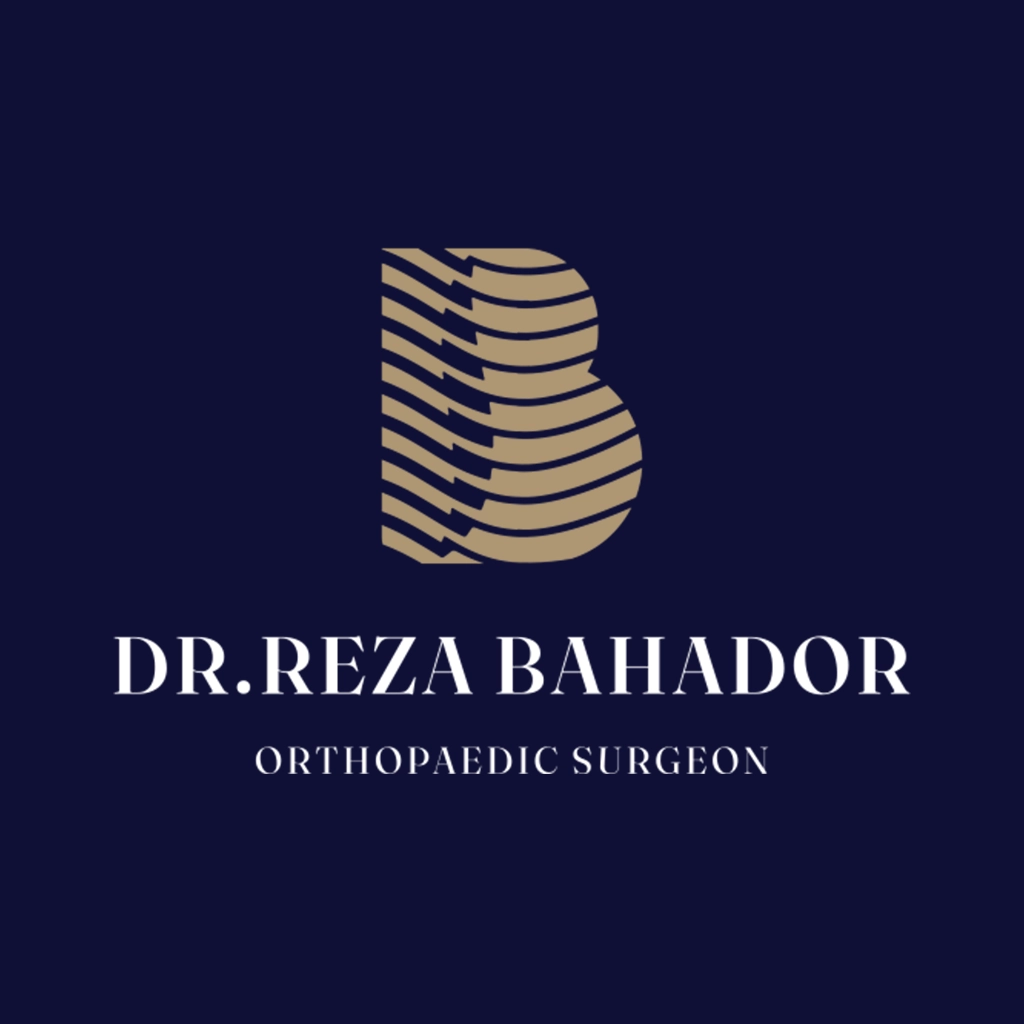 Dh_projects_Drbahador_logo1_2024_Mobile